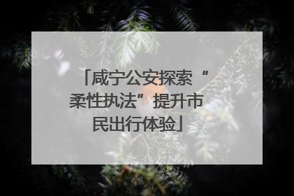 咸宁公安探索“柔性执法”提升市民出行体验